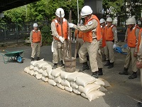 CIMG2445.JPG