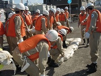 CIMG2515.JPG