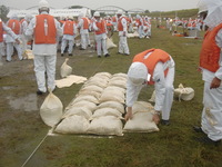 CIMG1230.JPG