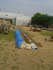 CIMG2835-thumb-240x240-665.jpg
